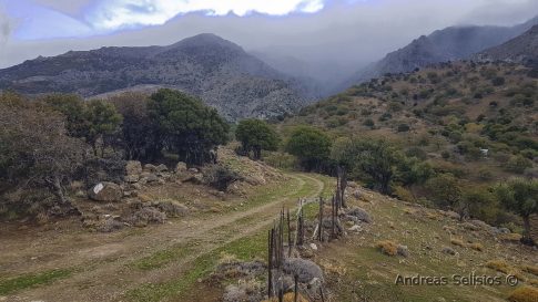 ΠΓΝA: Χορηγήθηκε για πρώτη φορά πρωτοποριακή θεραπεία για τον καρκίνο του προστάτη