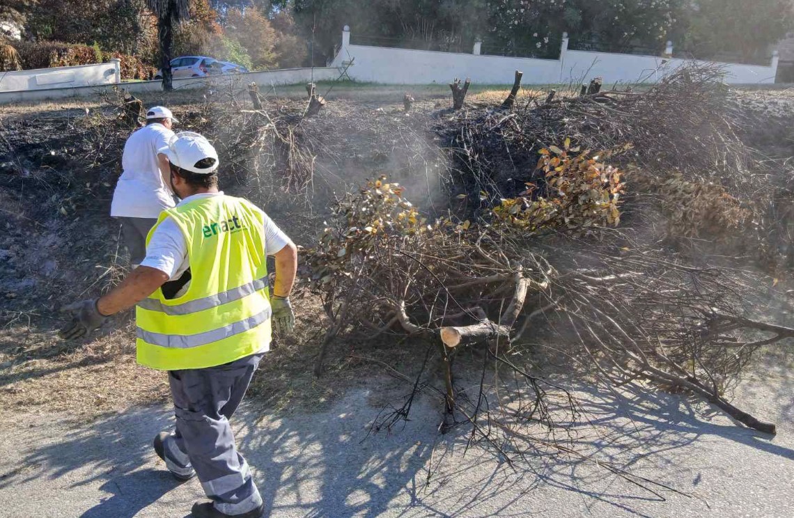 Χαλκιδική: Εκτεταμένοι καθαρισμοί στη Σίβηρη μετά τη μεγάλη πυρκαγιά