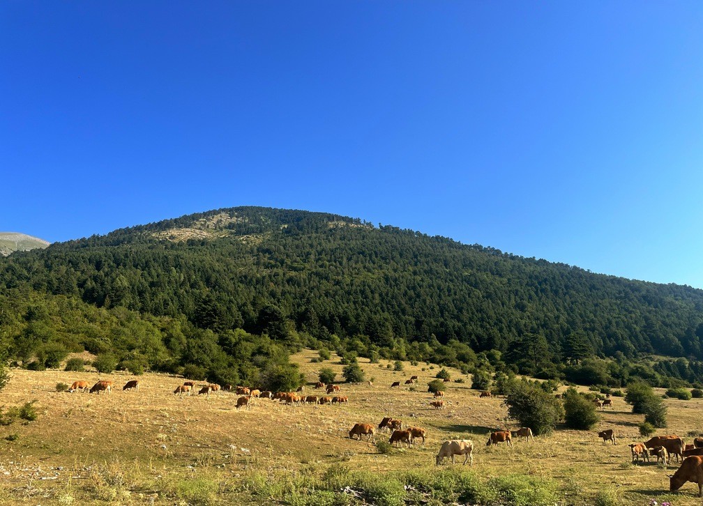 Πεζοπορία στα περάσματα του λήσταρχου Γιαγκούλα από τον Σύλλογο των Απόδημων Σκαμνιωτών