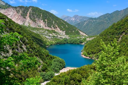 Ήλιδα: Υπό πλήρη έλεγχο η φωτιά στο Χάβαρι
