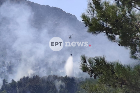 Τραγωδία στις Σέρρες: «Τα έχασα όλα» – Σπαρακτικές δηλώσεις του πατέρα και συζύγου των θυμάτων στο ΕΡΤnews
