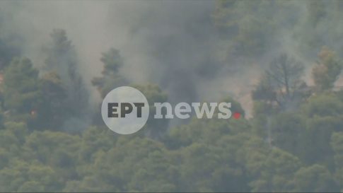 Δείτε την κούρσα του Στέφανου Ντούσκου που του χάρισε το χάλκινο μετάλλιο στο ευρωπαϊκό πρωτάθλημα κωπηλασίας