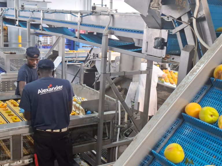 Βέροια: Κονσερβοποιία που απασχολεί πρόσφυγες από γειτονικές δομές επισκέφθηκε ο υπουργός Μετανάστευσης και Ασύλου Θ. Πλεύρης