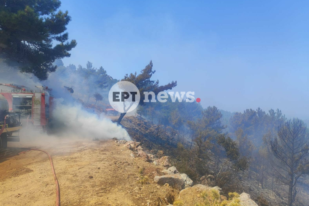 Χίος: Κινητοποίηση για φωτιά στην περιοχή Βίκι – Ήχησε το 112