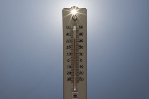 Γυναικοκτονία – Ορεστιάδα: Εξόργισε μάρτυρας στο δικαστήριο – «Όλοι τις δέρνουμε τις γυναίκες μας, ας μην κρυβόμαστε»