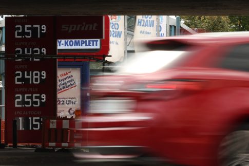 Ο Τυραννόσαυρος είχε θερμοκρασία σώματος παρόμοια με αυτή του ανθρώπου – Τι δήλωσε στο ΕΡΤnews ο συγγραφέας της μελέτης