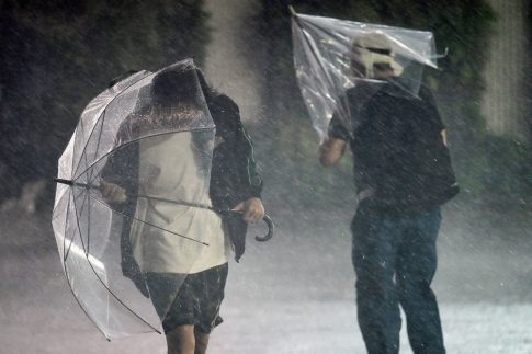 <strong>Νέα Τεχνική Έκθεση της EFSA για την Επιτήρηση Φυτικών Παρασίτων</strong>