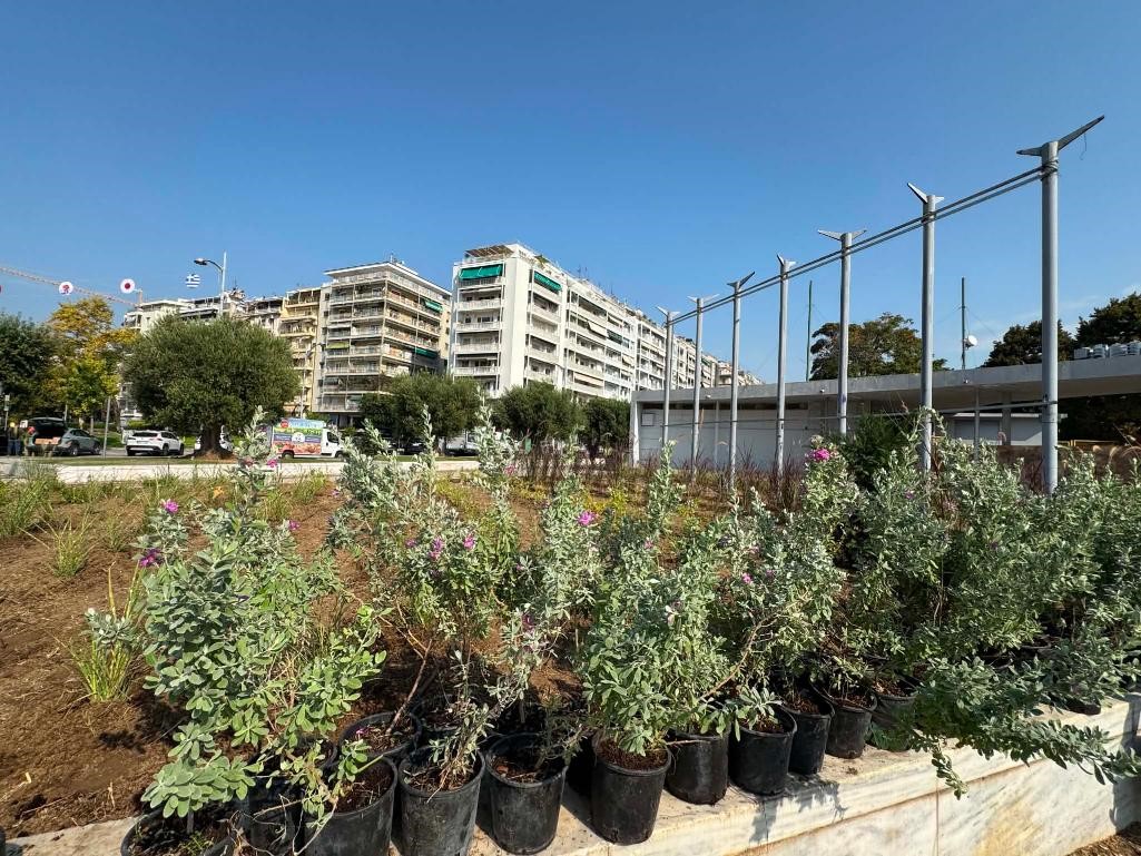 Θεσσαλονίκη: Θάμνοι διαφορετικών ποικιλιών βάζουν χρώμα στην είσοδο της ΔΕΘ