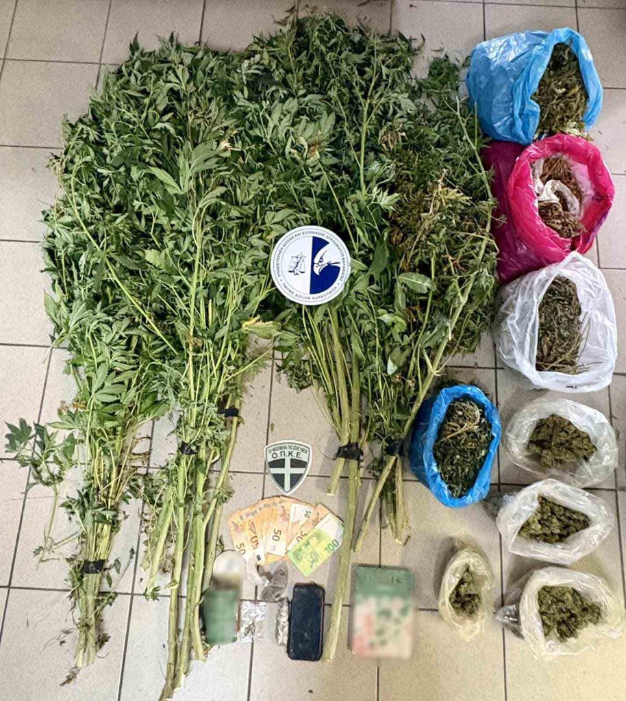 Δύο συλλήψεις στην Αθήνα από τη Δίωξη Ναρκωτικών Καλαμάτας – Καλλιεργούσαν κάνναβη μέσα σε διαμερίσματα