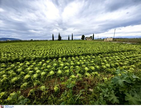 Ο εορτασμός της επετείου της 25<sup>ης</sup> Μαρτίου στην Αυστραλία