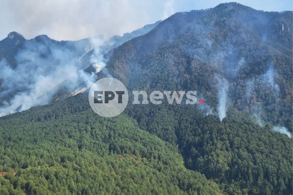 Σε εξέλιξη η φωτιά στην Κόνιτσα: Συνεχείς ρίψεις από τα εναέρια μέσα – Πάνω από 6.200 στρέμματα έγιναν στάχτη
