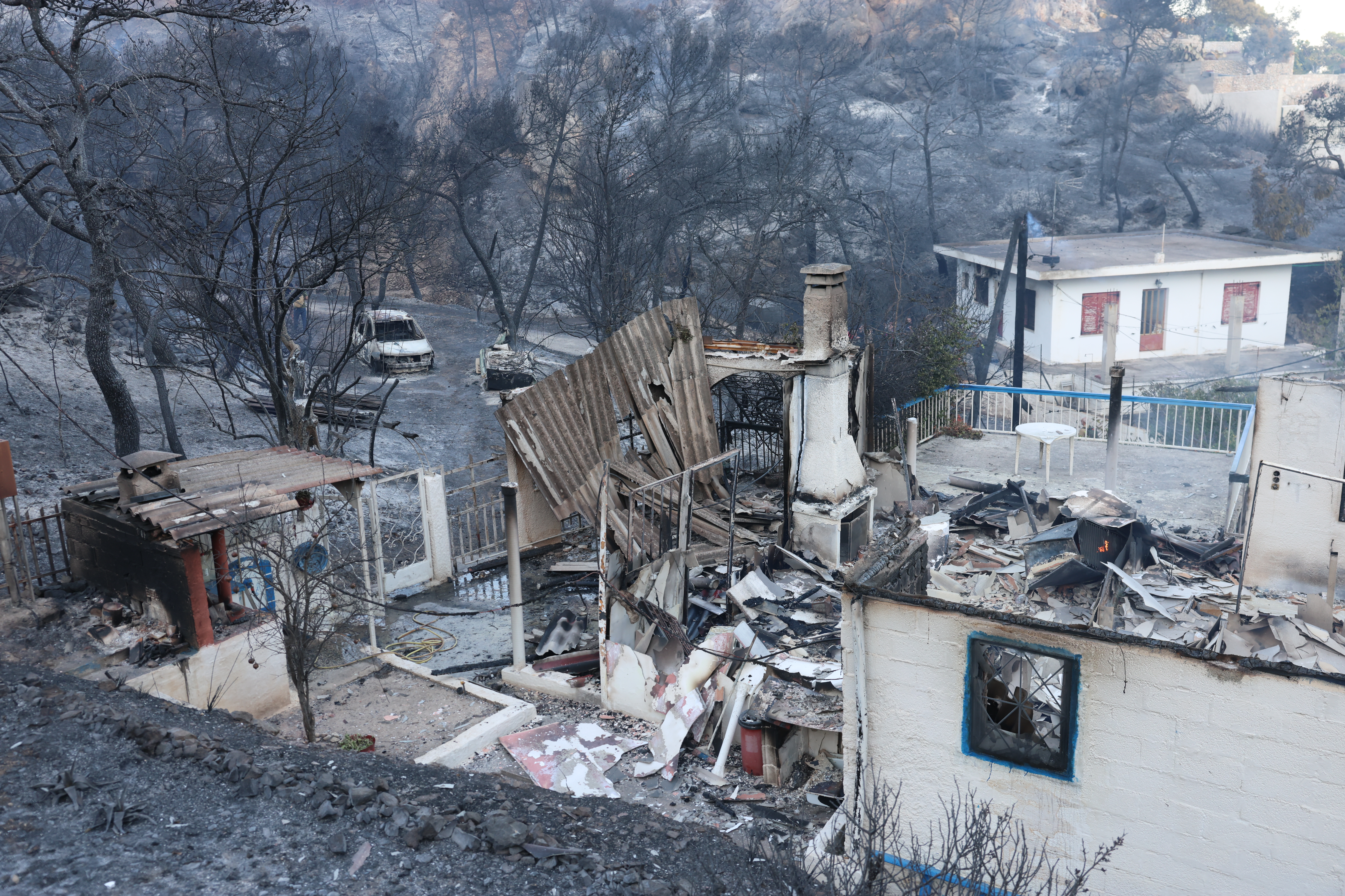 Κατσαφάδος στο ΕΡΤnews: Αποζημίωση σε πέντε ημέρες με μία αίτηση στους πυρόπληκτους