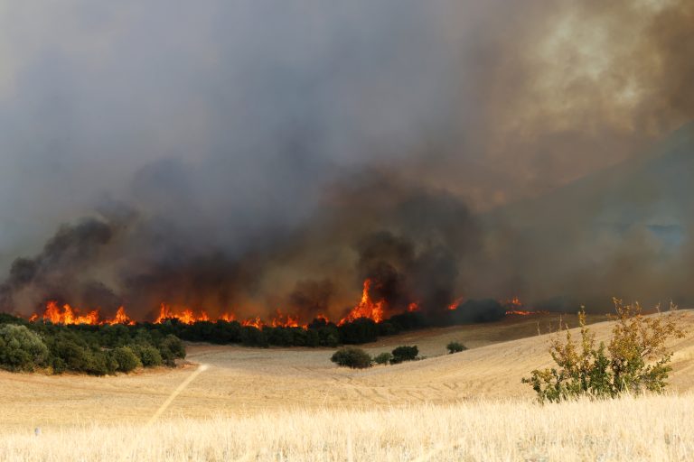Φωτιά σε αγροτική έκταση στο Καλοχώρι Χαλκίδας