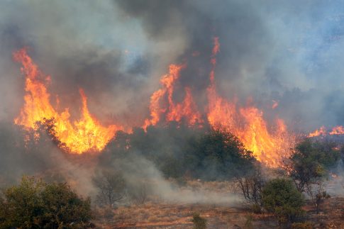 Δύο χρυσά για τον Στέφανο Ντούσκο και χάλκινο για τον Κωνσταντίνο Γιαννούλη