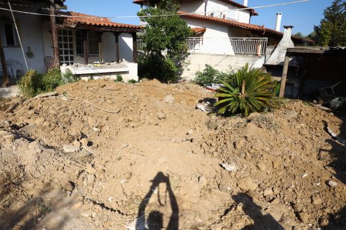Ένθετο Γεωργία: <strong>Οι «φύλακες» των ντόπιων σπόρων </strong>