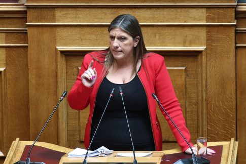 Αναστάτωση στον Νέο Μαρμαρά από τις επιθέσεις άγριου ζώου σε 2χρονο παιδί και 46χρονο