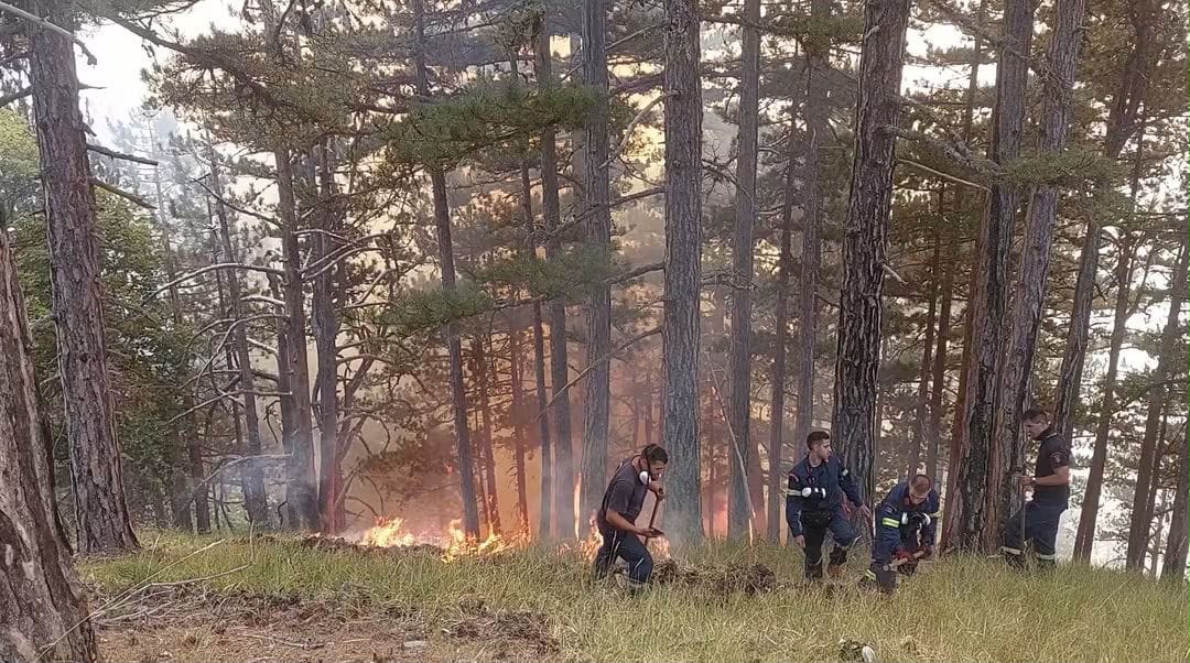 Βελτιωμένη η εικόνα της φωτιάς στην Κόνιτσα – Μάχη των δασοκομάντος με τις φλόγες