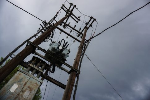 Κέρκυρα: Το 19<sup>ο</sup> Ρεύμα Ανακύκλωσης δημιουργεί ο Δήμος του Βορρά, μετατρέποντας τα υπολείμματα από κλαδέματα σε λίπασμα