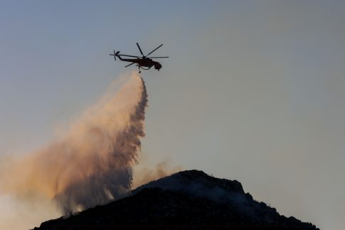 Μελέτη: Τα βακτήρια του εντέρου σχετίζονται με βασικές χημικές ουσίες του εγκεφάλου