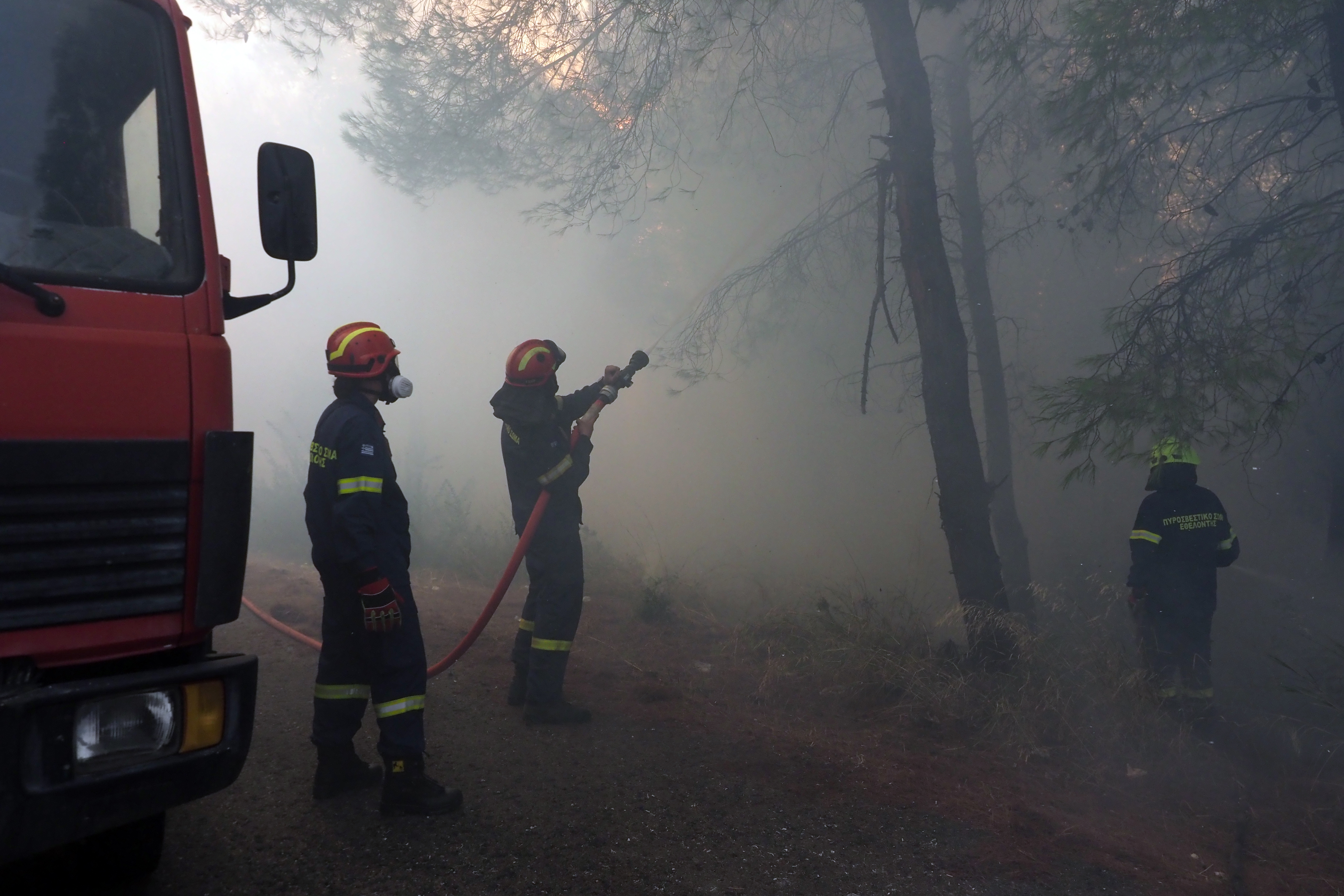 Πυρκαγιά στη Μακρυκάπα Εύβοιας: Μήνυμα 112 για απομάκρυνση από Τριάδα προς Ψαχνά