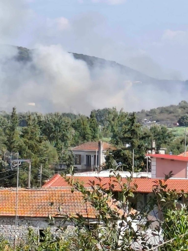 Πυρκαγιά σε χαμηλή βλάστηση στο Θεσπρωτικό Πρέβεζας – Ισχυρές δυνάμεις στο σημείο