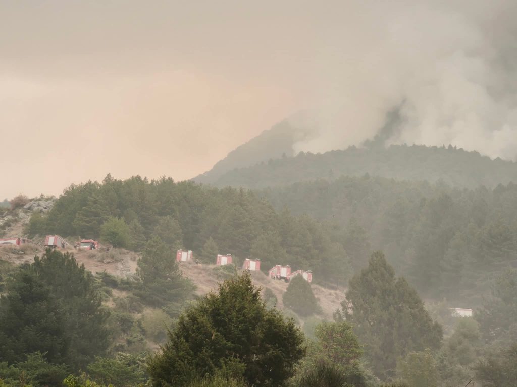 Ενίσχυση των δυνάμεων πυρόσβεσης στην Κόνιτσα – Γ. Αρτοποιός: «Είναι μια δύσκολη πυρκαγιά» – Συνεχείς ρίψεις από 12 εναέρια μέσα