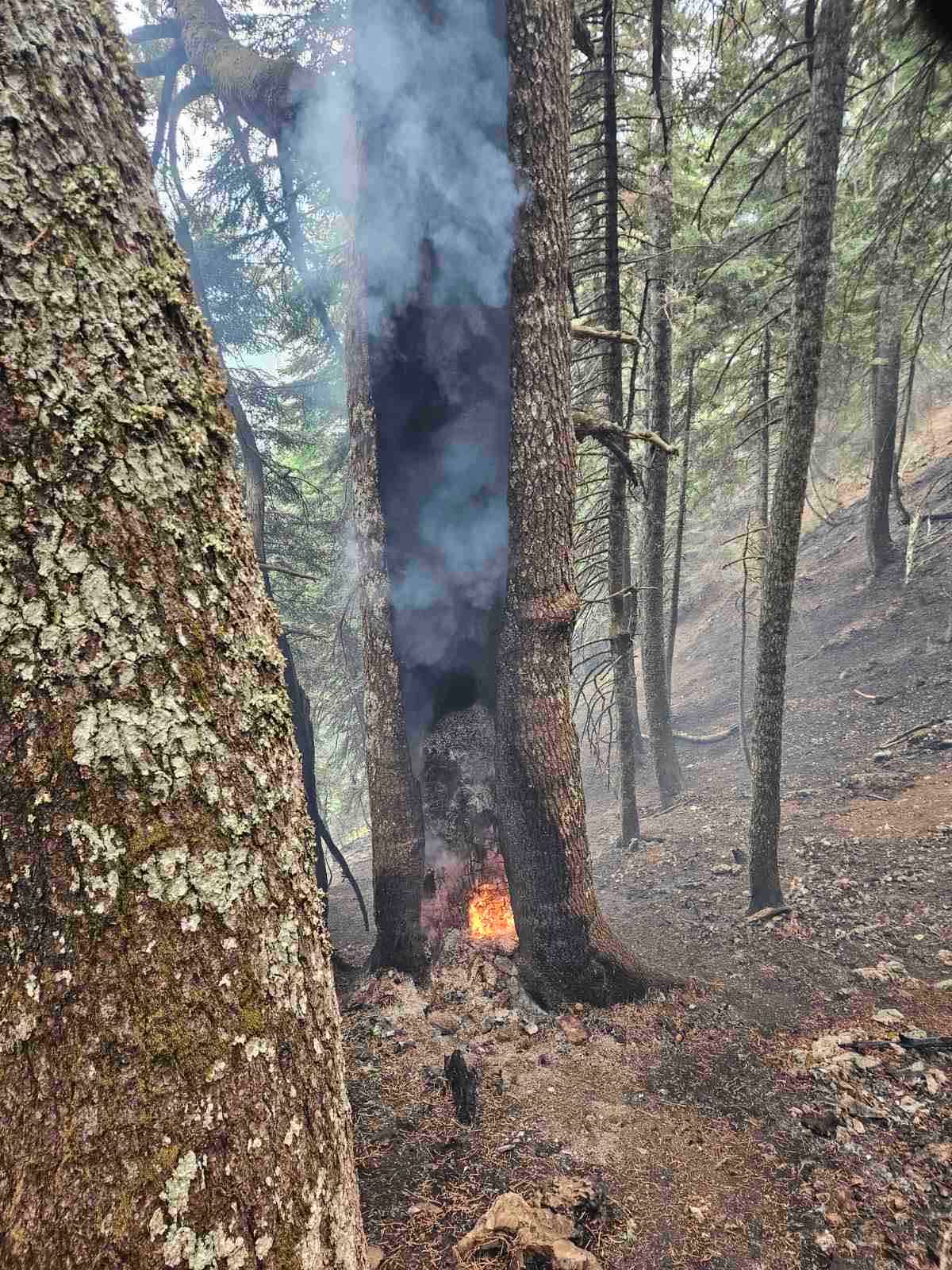 Υπό έλεγχο η πυρκαγιά στην Τραπεζίτσα Κόνιτσας