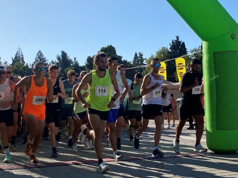 Παραβατική ομάδα στη Λακωνία κατηγορείται για  κλοπές αυτοκινήτων, καταστημάτων και οικίας