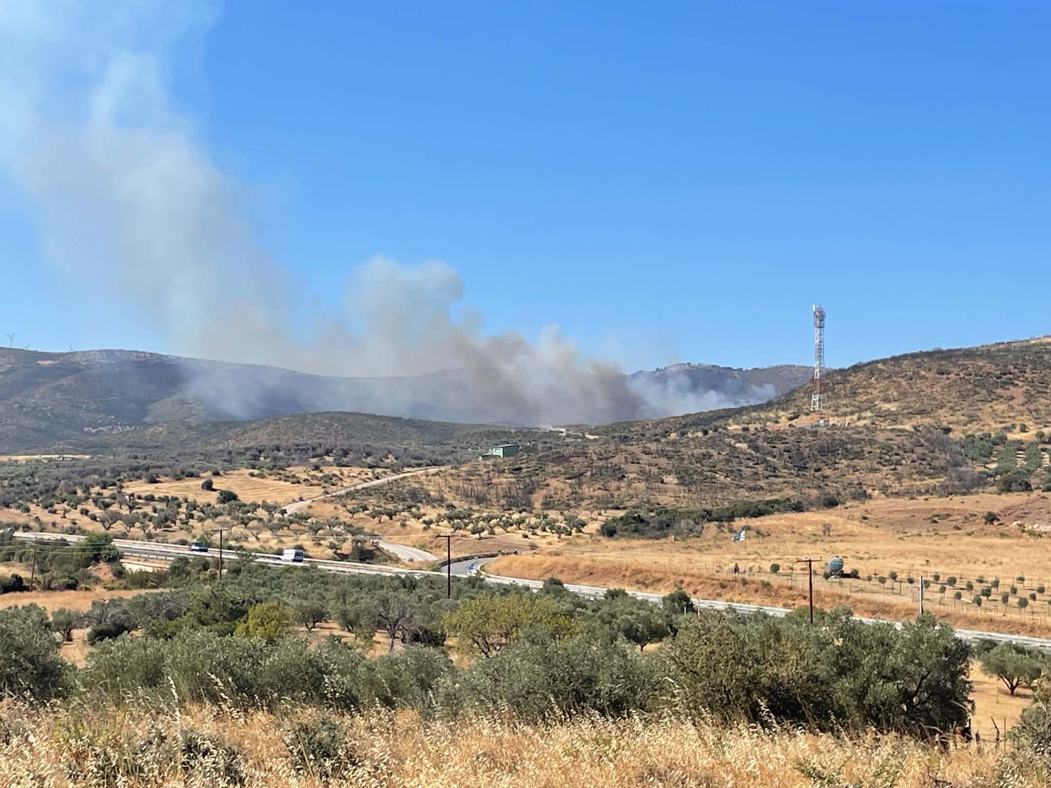Αλεξανδρούπολη: Φωτιά στην περιοχή Βρυζέικα