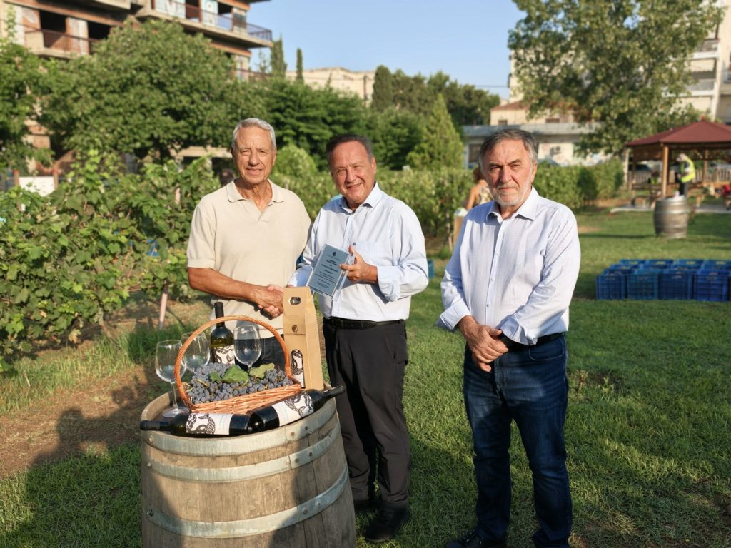 Ξινόμαυρο και αγιωργίτικο από τον Αστικό Αμπελώνα Θεσσαλονίκης- Πραγματοποιήθηκε σήμερα ο καθερωμένος τρύγος