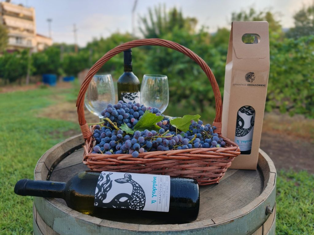 Η Θεσσαλονίκη τρύγησε τον Αστικό Αμπελώνα της – Τιμήθηκε ο Ευάγγελος Γεροβασιλείου