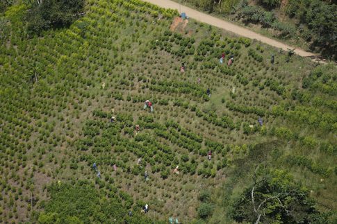 Θεσσαλονίκη: Ανοίγουν οι αιτήσεις για το Youth Climate Action Fund – Έως 4.000 ευρώ για δράσεις νέων για το κλίμα