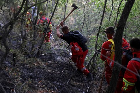 Εγκαίνια του Δασικού Περιπτέρου στην 90η ΔΕΘ – Σ. Παπασταύρου: «Καθοριστικός ο ρόλος της Δασικής Υπηρεσίας»