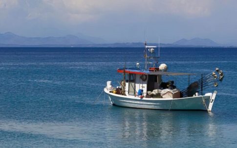 Κηφισός: Τρεις οι συλλήψεις για την απόρριψη αποβλήτων – Ανοιχτή η έρευνα για Μαζωνάκη: Τι είπε στο ΕΡΤnews Radio 105,8 η Εκπρόσωπος Τύπου της ΕΛ.ΑΣ.