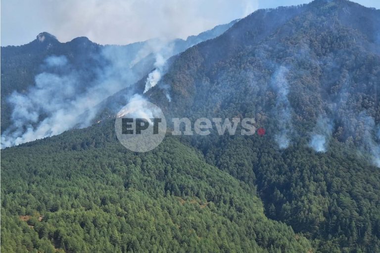 Συνεχίζεται η μάχη με τη φωτιά στην Κόνιτσα για 9η ημέρα