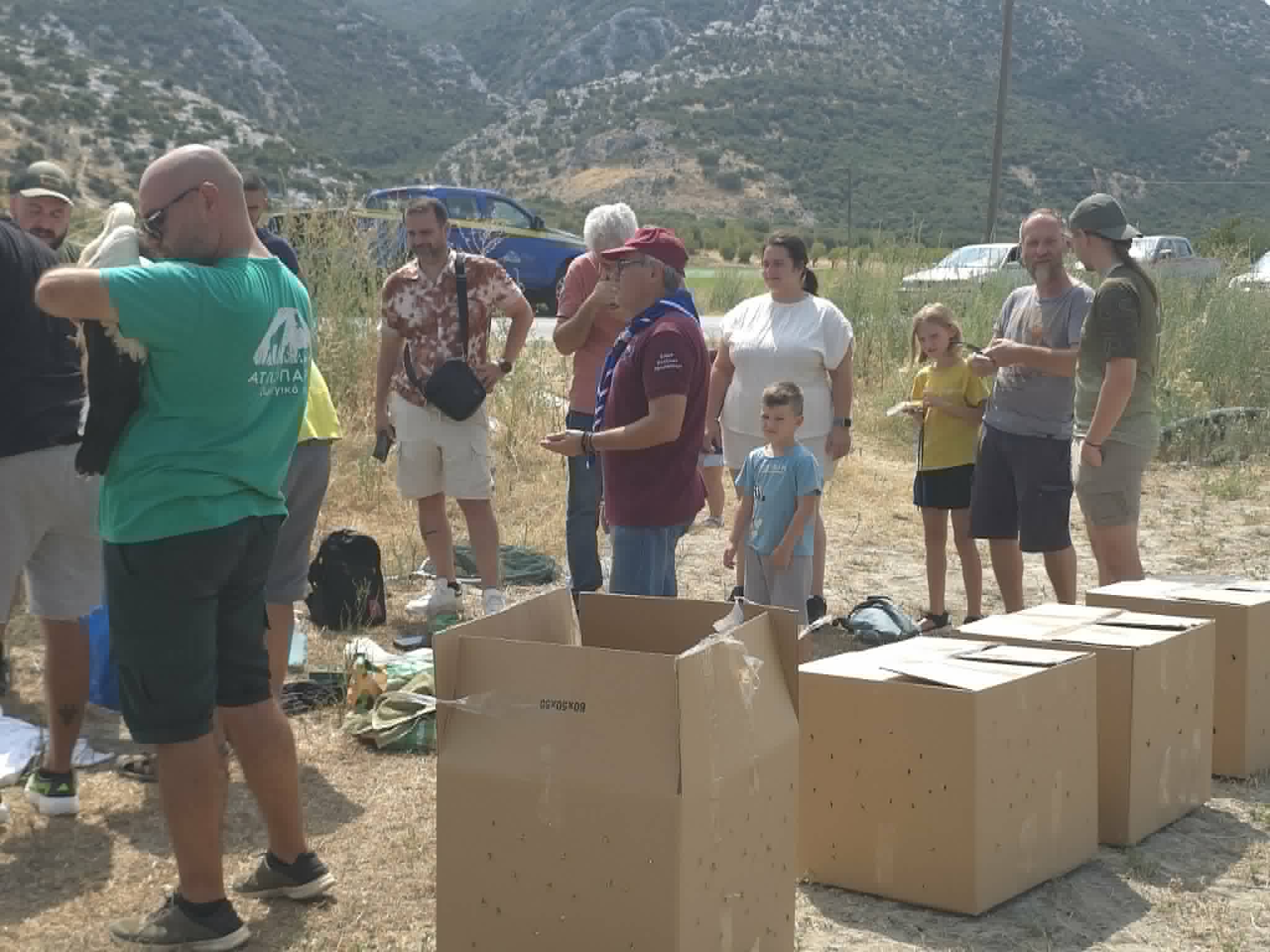 Δεκατρείς πελαργοί άνοιξαν ξανά τα φτερά τους πάνω από την Κάρλα