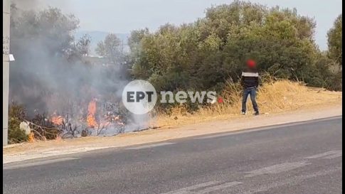 Οινοξένεια 2018 <br> Μάκινα πολιτισμού