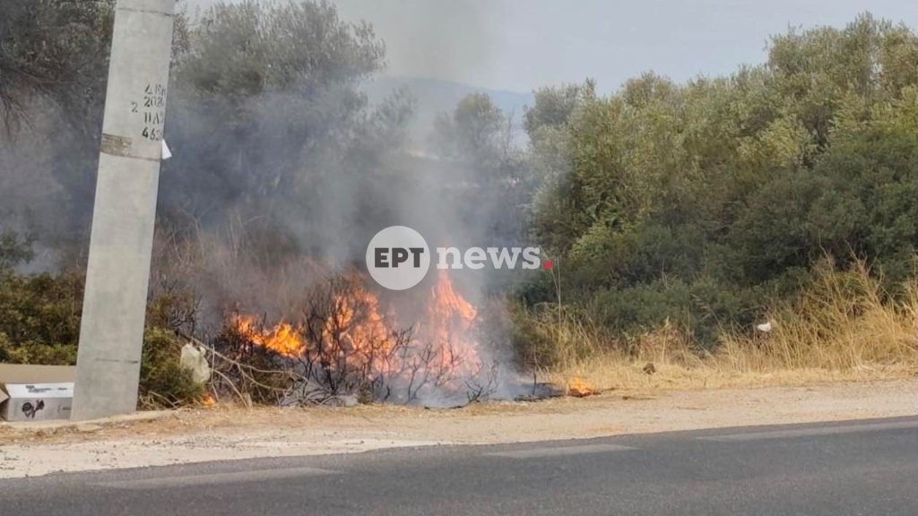 Σύλληψη 25χρονου αλλοδαπού για εμπρησμό από πρόθεση στο Λαγονήσι