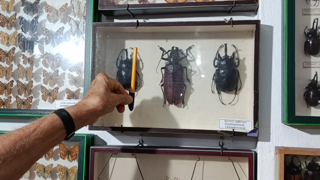 40 χρόνια ζωής ετοιμάζεται να συμπληρώσει το εντομολογικό μουσείο Βόλου