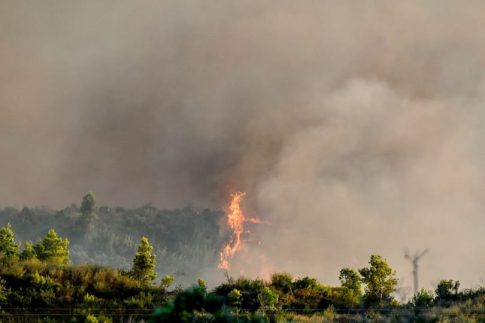 <strong>Συγκινητική εκδήλωση στον Πύργο για τον ποιητή Γιώργη Παυλόπουλο</strong>
