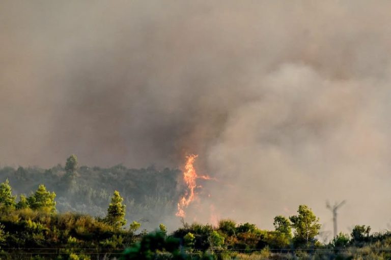 Αφίδνες: Ενισχύθηκαν οι δυνάμεις στην πυρκαγιά στη Δροσοπηγή – Ήχησε το 112, διεκόπη η κυκλοφορία