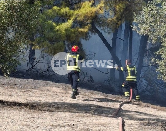 Χαλκιδική: Μεγάλη φωτιά στην Ελάνη – Ισχυρές δυναμεις και 7 εναέρια επιχειρούν για την κατάσβεσή της – Μήνυμα 112 στους κατοίκους