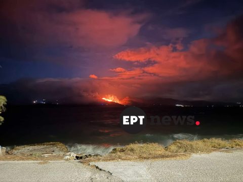 Στη Λέσβο ο υφυπουργός Αγροτικής Ανάπτυξης – Νέος αντιπεριφερειάρχης πρωτογενούς τομέα ο Κ. Αρώνης