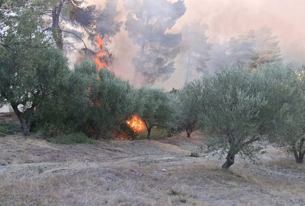 Φωτιά στη Σκιλλουντία Ηλείας – Ενισχύθηκαν οι δυνάμεις στη μάχη για να μην επεκταθούν οι φλόγες