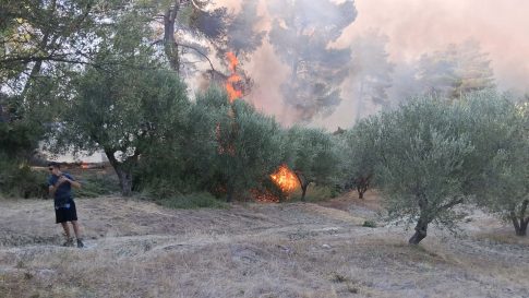 Φωτιά στη Σκάλα Χαλκιδικής – Ήχησε το 112