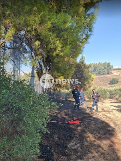 Χαλκιδική: Μεγάλη φωτιά στην Ελάνη – Ισχυρές δυναμεις και 7 εναέρια επιχειρούν για την κατάσβεσή της – Μήνυμα 112 στους κατοίκους