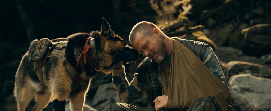 SSIFF 2026: Γιατί ο Μπραντ Πιτ αγάπησε την καρδιά ενός κτήνους;