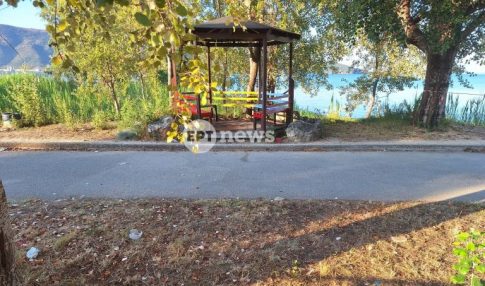 Η Πρωτοχρονιάτικη Συναυλία του 2025 με τη θρυλική Φιλαρμονική Ορχήστρα της Βιέννης