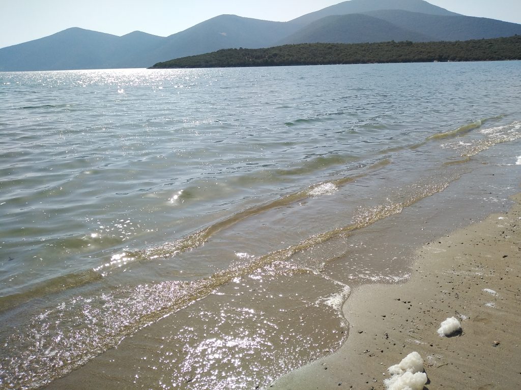 Πτελεός-Αχίλλειο: Κάτοικοι ζητούν έλεγχο για επαναλαμβανόμενο φαινόμενο θαλάσσιας ρύπανσης