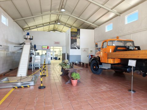Κορονοϊός: Δωρεάν <br/> ψυχοκοινωνική υποστήριξη
